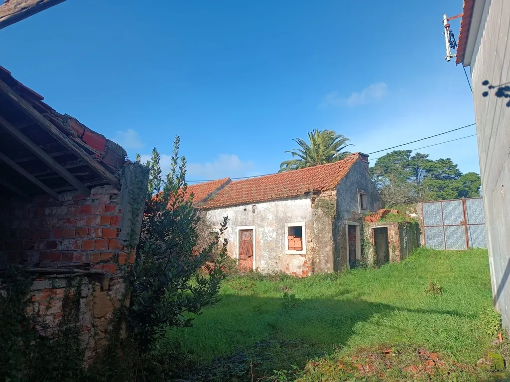 Casa para reabilitar em Cumeira de Santa Catarina, Caldas da Rainha - Image 28