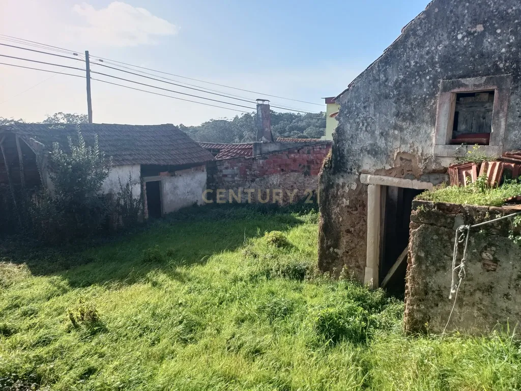 Casa para reabilitar em Cumeira de Santa Catarina, Caldas da Rainha - Image 23