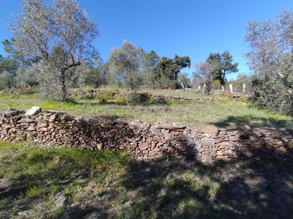 Terreno Rustico com 4080 m2, em Sarnadas de Rodao - Image 11