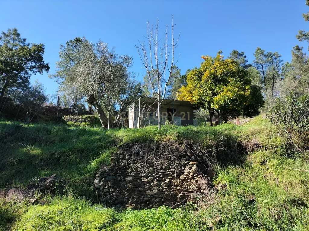 Terreno Rustico com 4080 m2, em Sarnadas de Rodao - Image 33