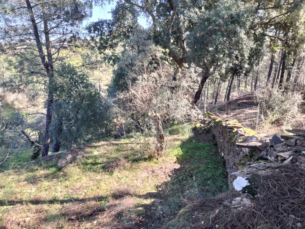Terreno Rustico com 4080 m2, em Sarnadas de Rodao - Image 30