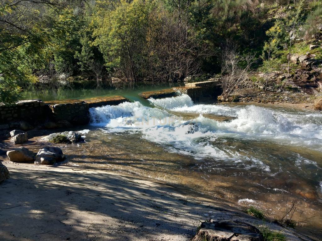 Moradia T3 Vale do Grou-Vila de Rei - Image 36