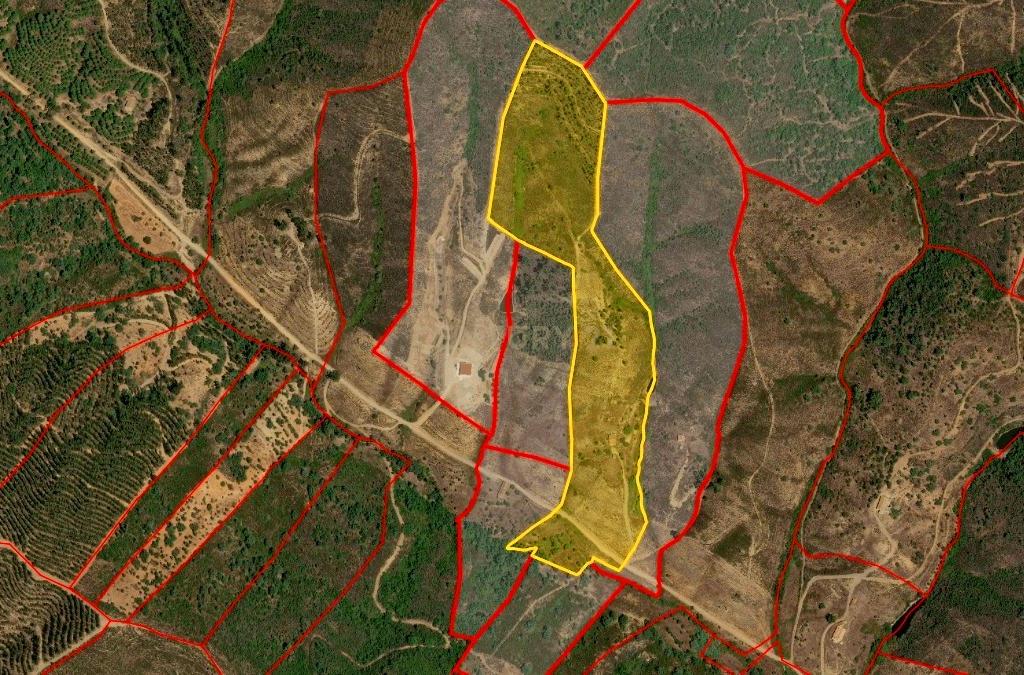 Herdade com 6 Ha  com uma casa térrea - Image 17