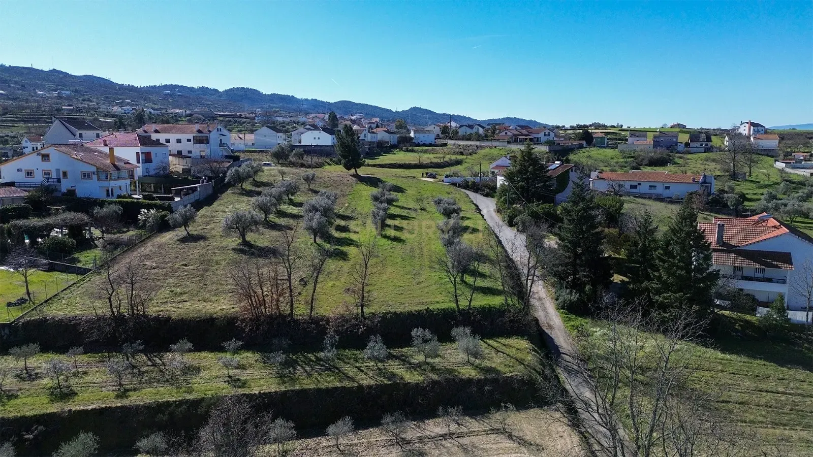 Terreno com vista da Serra da Estrela , Covilhã - Image 5