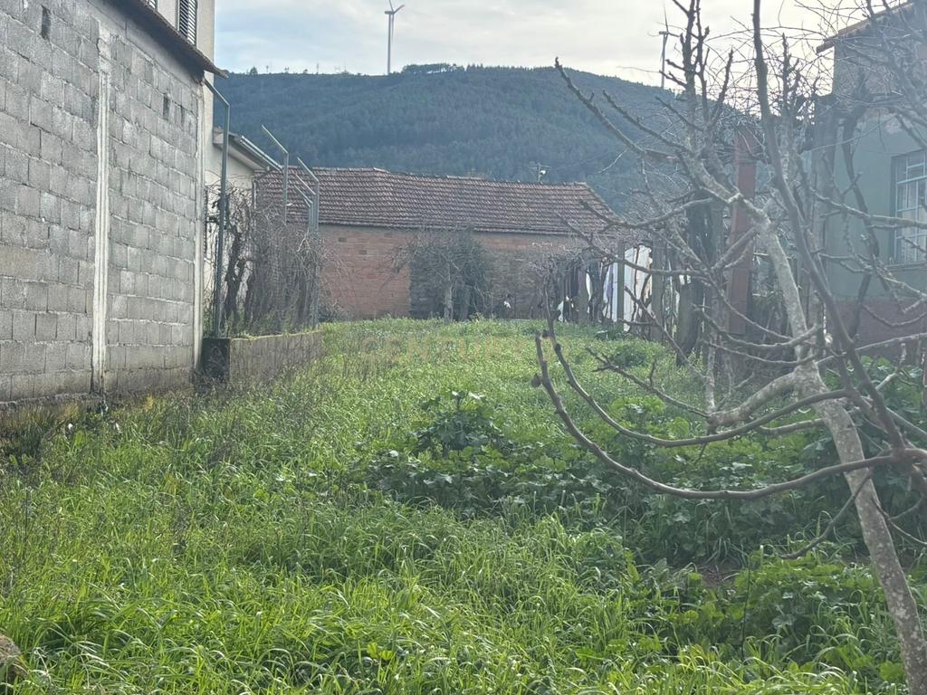Casa em Pedra, Benquerença - Image 5