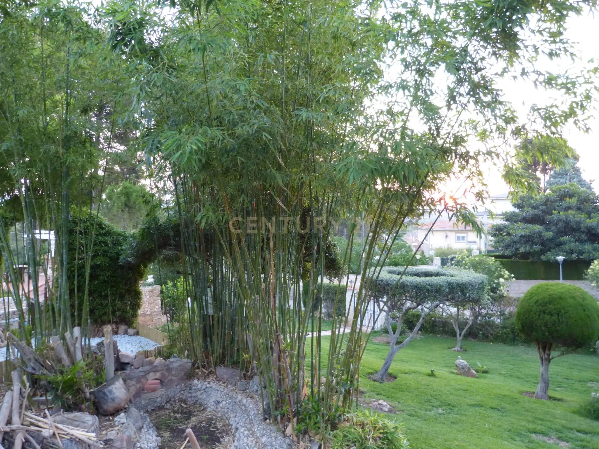 undefined - Image 2