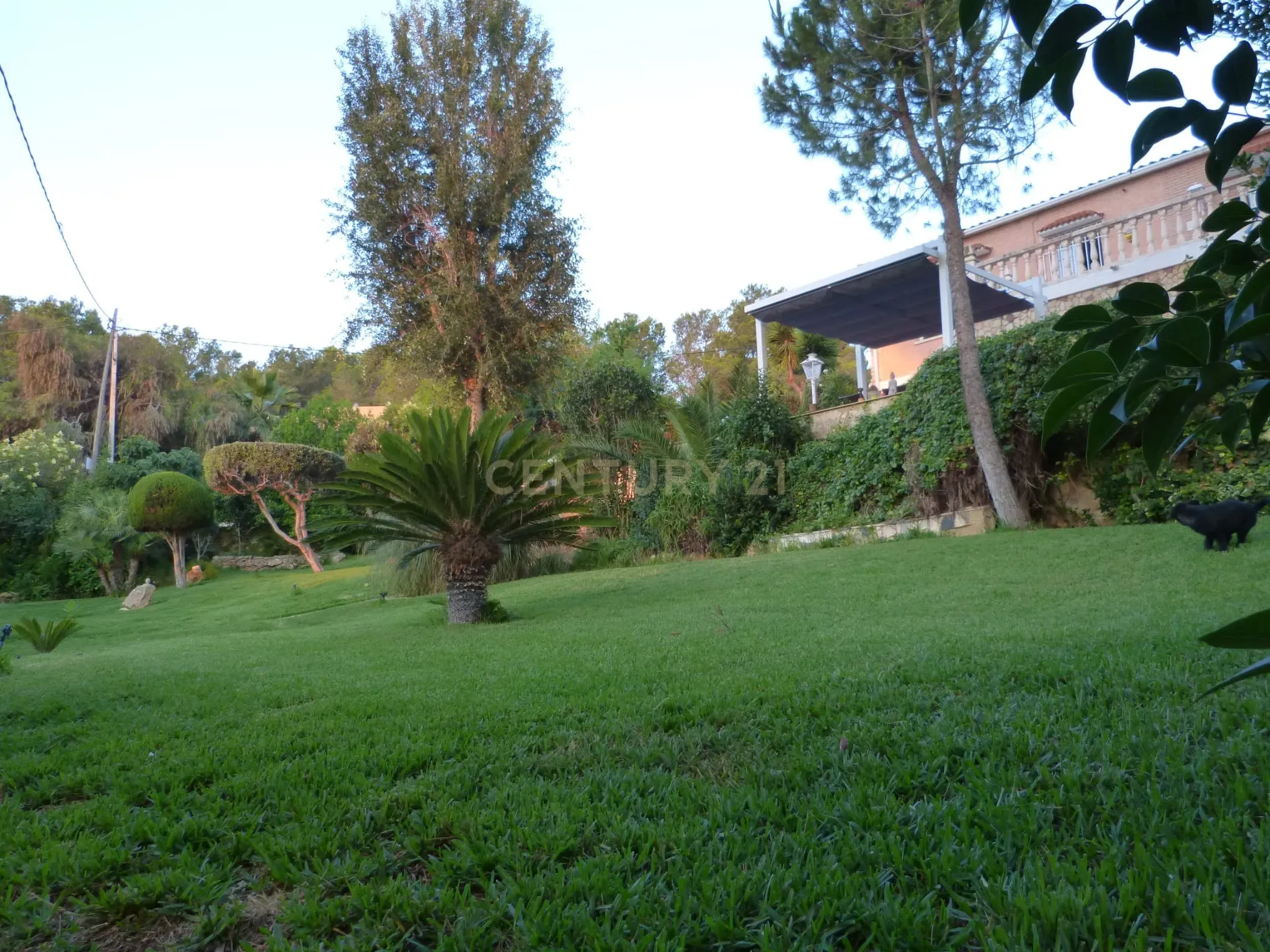 undefined - Image 6