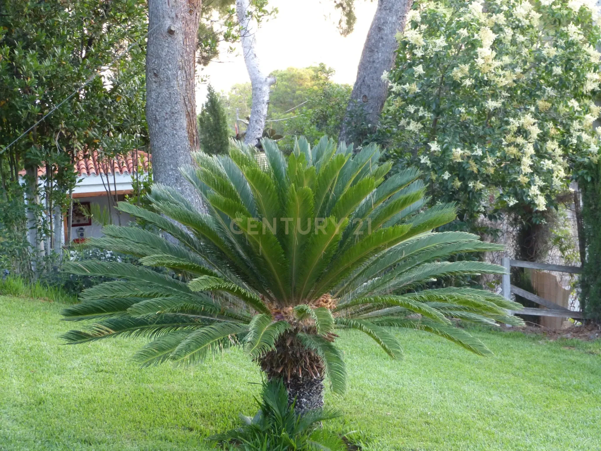 undefined - Image 14