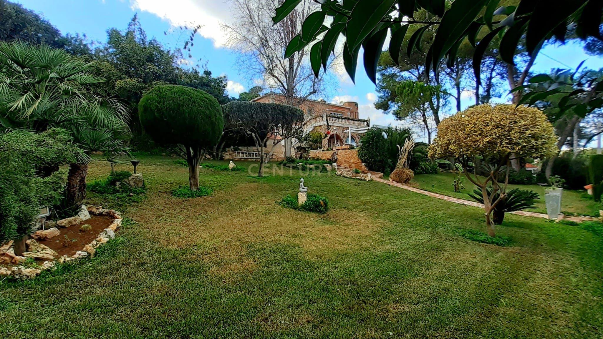 undefined - Image 15