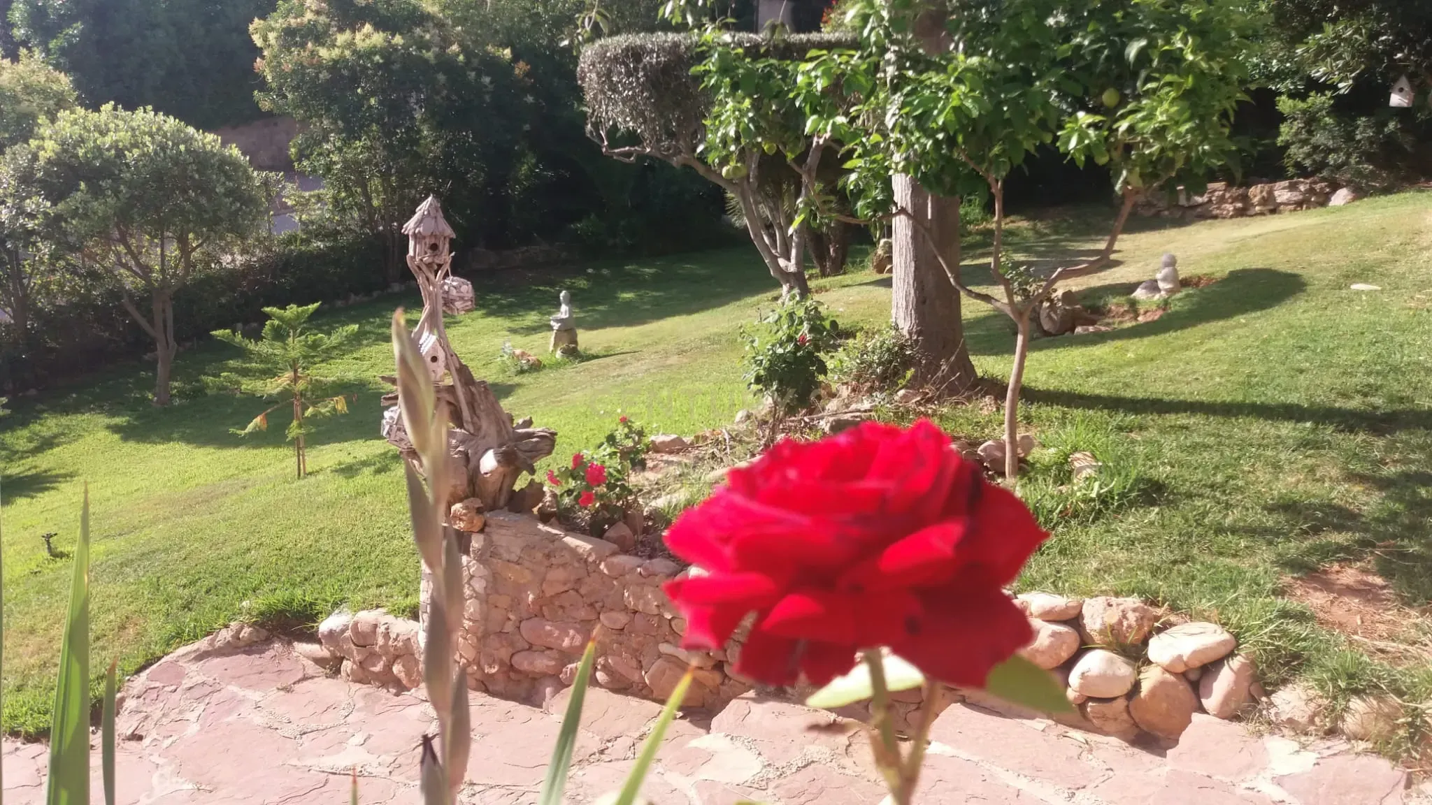 undefined - Image 20