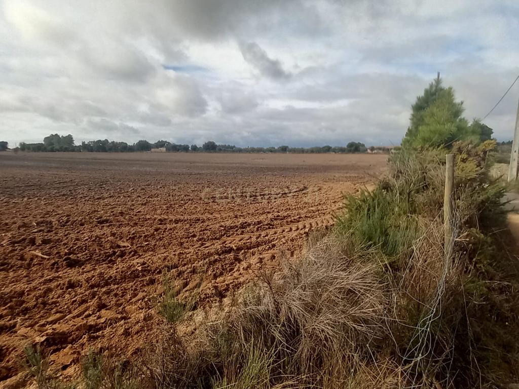 Terreno Rustico com 13500 M2 Lardosa - Image 8