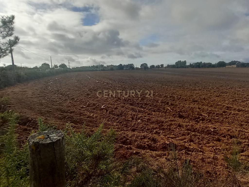Terreno Rustico com 13500 M2 Lardosa - Image 10