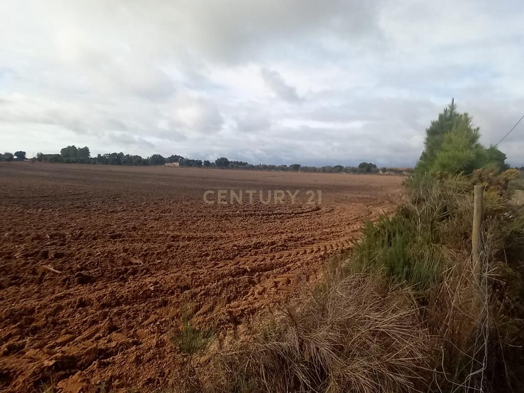 Terreno Rustico com 13500 M2 Lardosa - Image 7