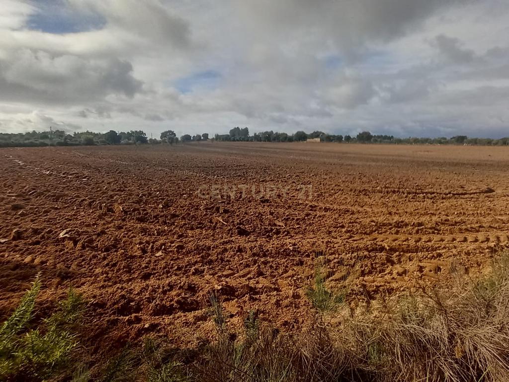 Terreno Rustico com 13500 M2 Lardosa - Image 4