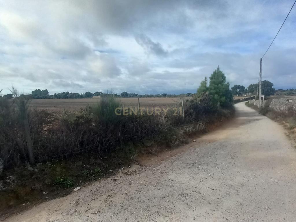Terreno Rustico com 13500 M2 Lardosa - Image 3