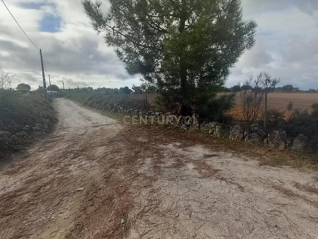 Terreno Rustico com 13500 M2 Lardosa - Image 13