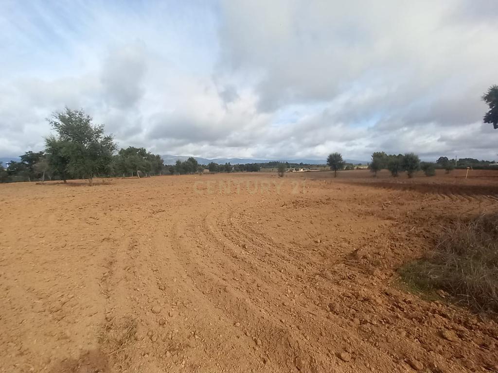 Terreno Rustico com 13500 M2 Lardosa - Image 1