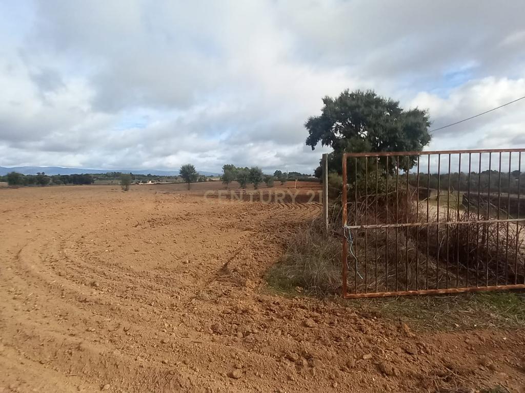 Terreno Rustico com 13500 M2 Lardosa - Image 2