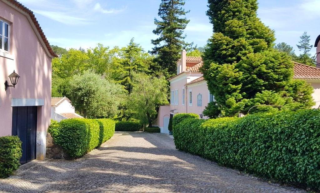 Encantadora Quinta em Sintra com 11 hectares– Uma Propriedade de História e Charme - Image 30