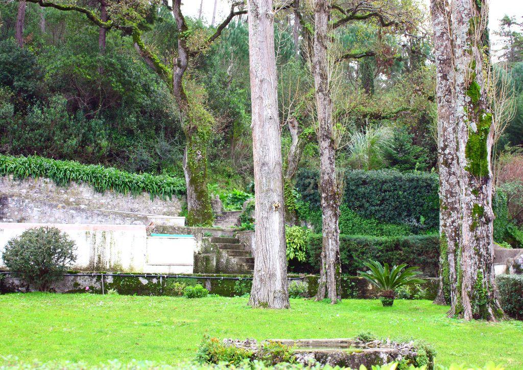 Encantadora Quinta em Sintra com 11 hectares– Uma Propriedade de História e Charme - Image 29
