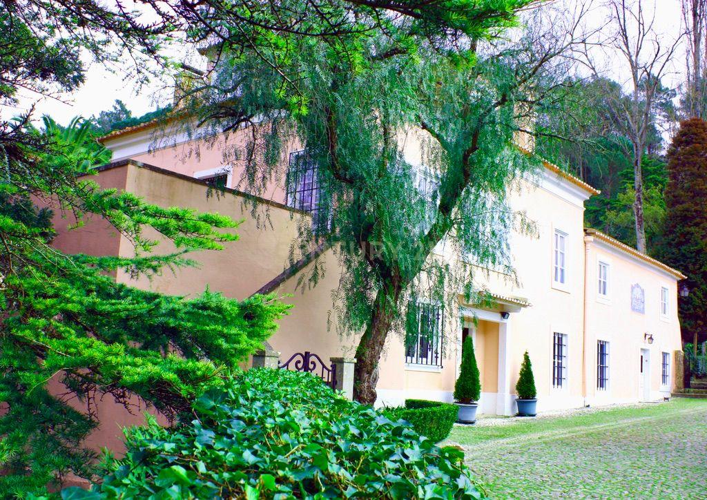 Encantadora Quinta em Sintra com 11 hectares– Uma Propriedade de História e Charme - Image 4