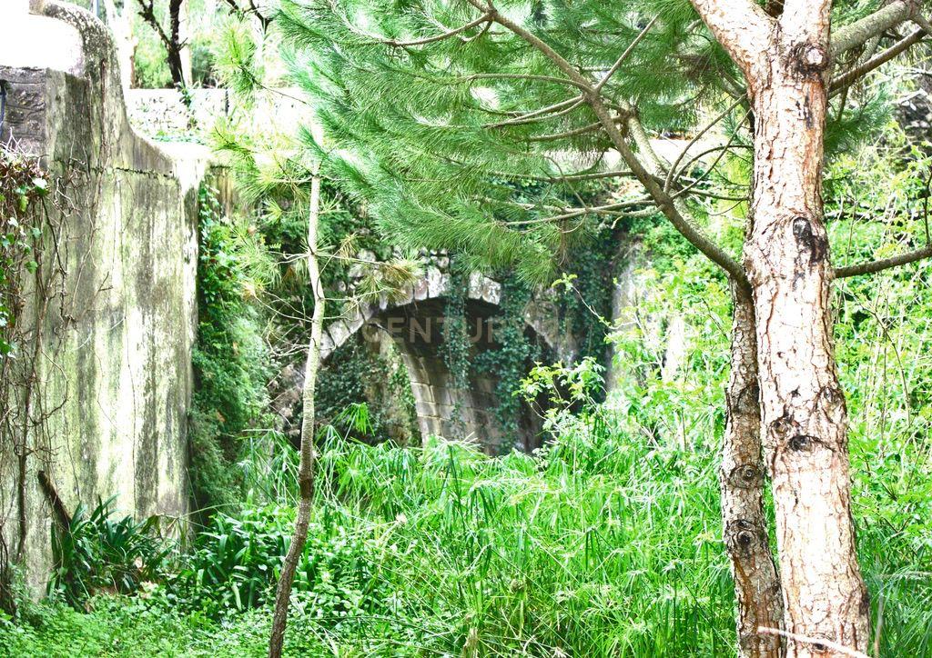 Encantadora Quinta em Sintra com 11 hectares– Uma Propriedade de História e Charme - Image 25