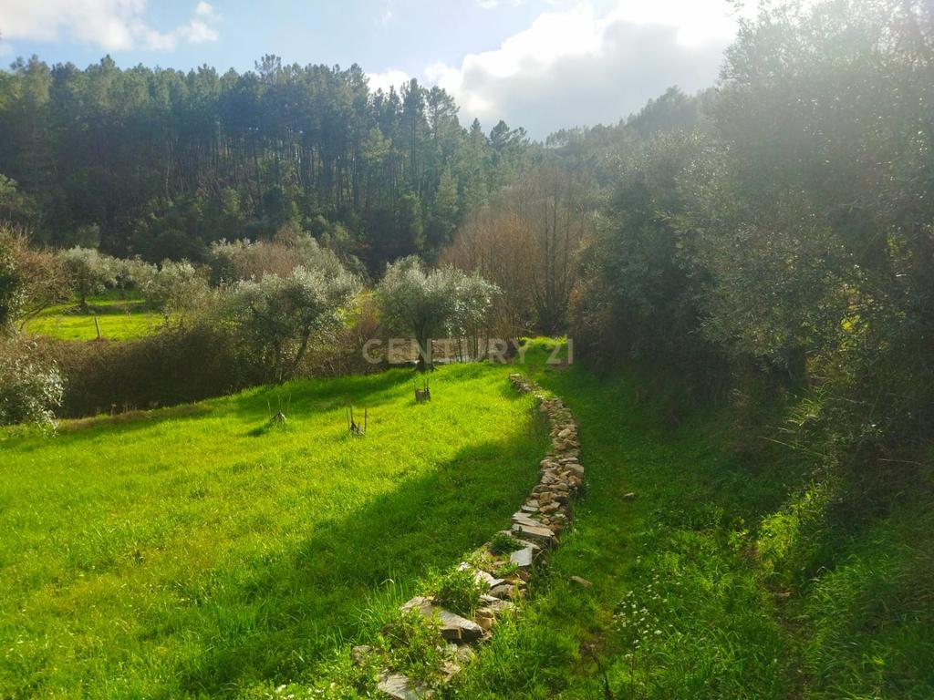 Terreno Rustico com 2.800 m2, Rochas de Baixo, Almaceda - Image 7