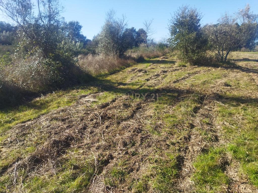 Terreno com 12500 m2 , Tinalhas, Castelo Branco - Image 2