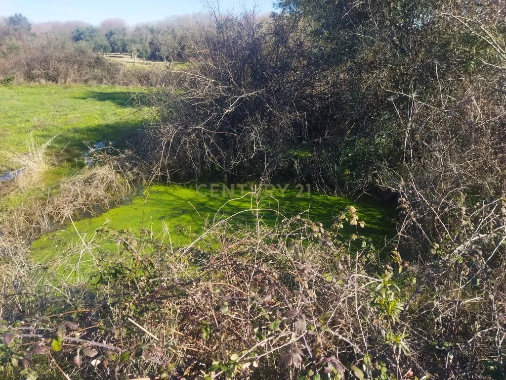 Terreno com 12500 m2 , Tinalhas, Castelo Branco - Image 3