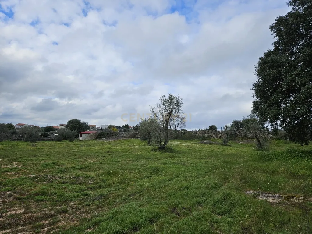 Quintinha na Lousa, Castelo Branco - Image 27
