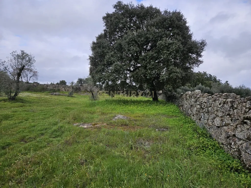 Quintinha na Lousa, Castelo Branco - Image 28