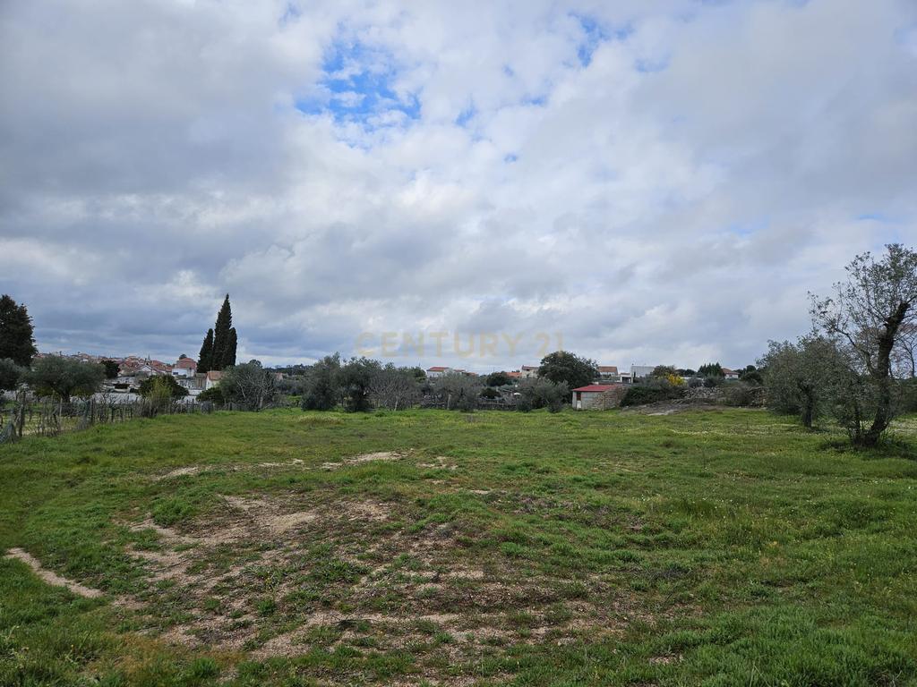 Quintinha na Lousa, Castelo Branco - Image 29