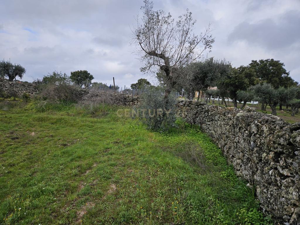 Quintinha na Lousa, Castelo Branco - Image 36
