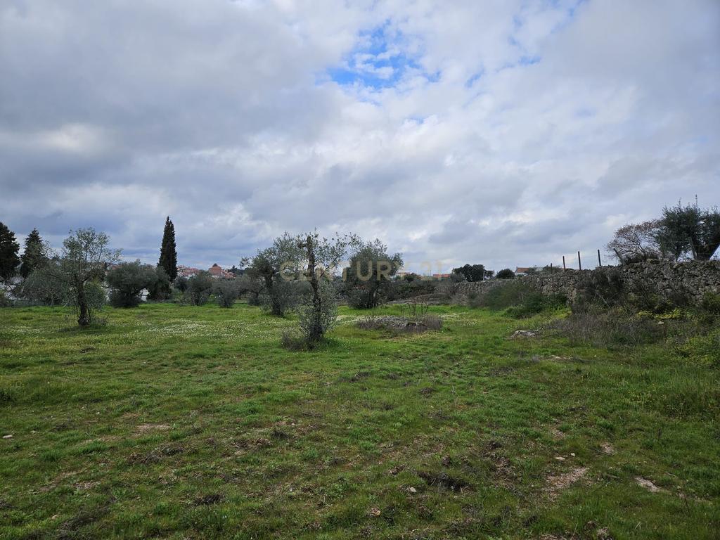 Quintinha na Lousa, Castelo Branco - Image 30