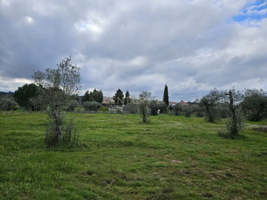 Quintinha na Lousa, Castelo Branco - Image 32