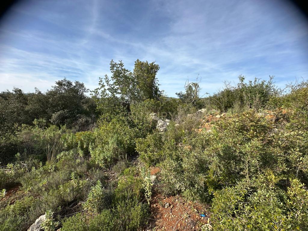 Terreno de 2HA com ruína em Vale da Boa Hora, Parragil (Loulé e Boliqueime) - Image 8