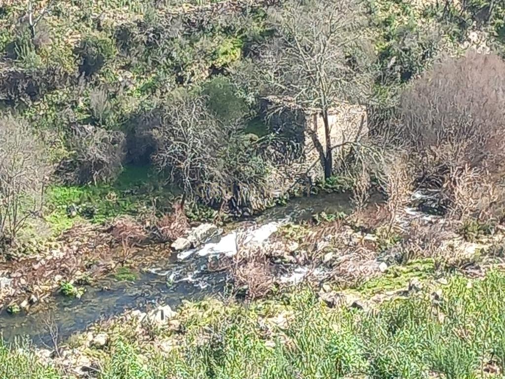 Terreno Rustico com 6220m2 Sobrainho da Ribeira-Sarzedas - Image 14