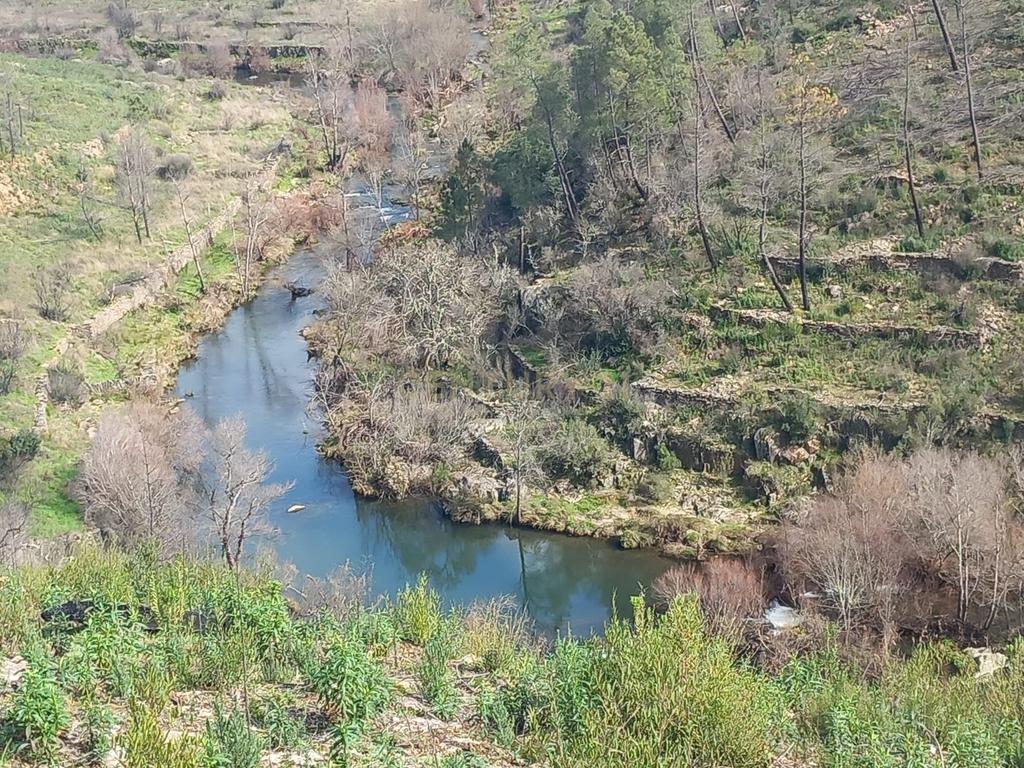 Terreno Rustico com 6220m2 Sobrainho da Ribeira-Sarzedas - Image 2