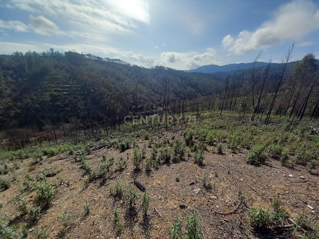 Terreno Rustico com 6220m2 Sobrainho da Ribeira-Sarzedas - Image 1