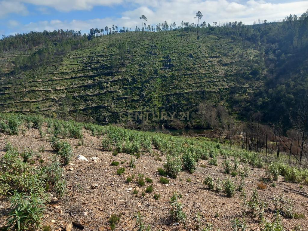 Terreno Rustico com 6220m2 Sobrainho da Ribeira-Sarzedas - Image 12