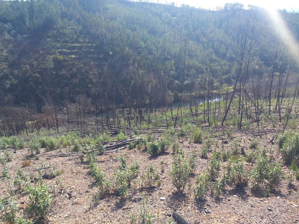 Terreno Rustico com 6220m2 Sobrainho da Ribeira-Sarzedas - Image 4