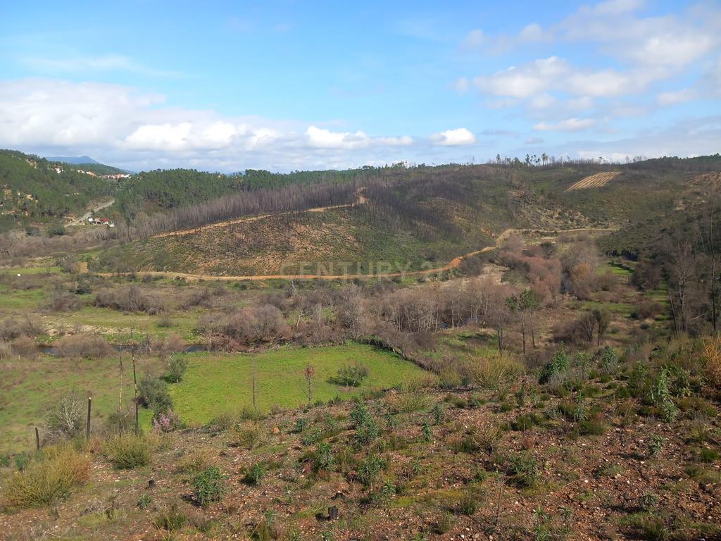 Terreno Rustico com 6220m2 Sobrainho da Ribeira-Sarzedas - Image 3