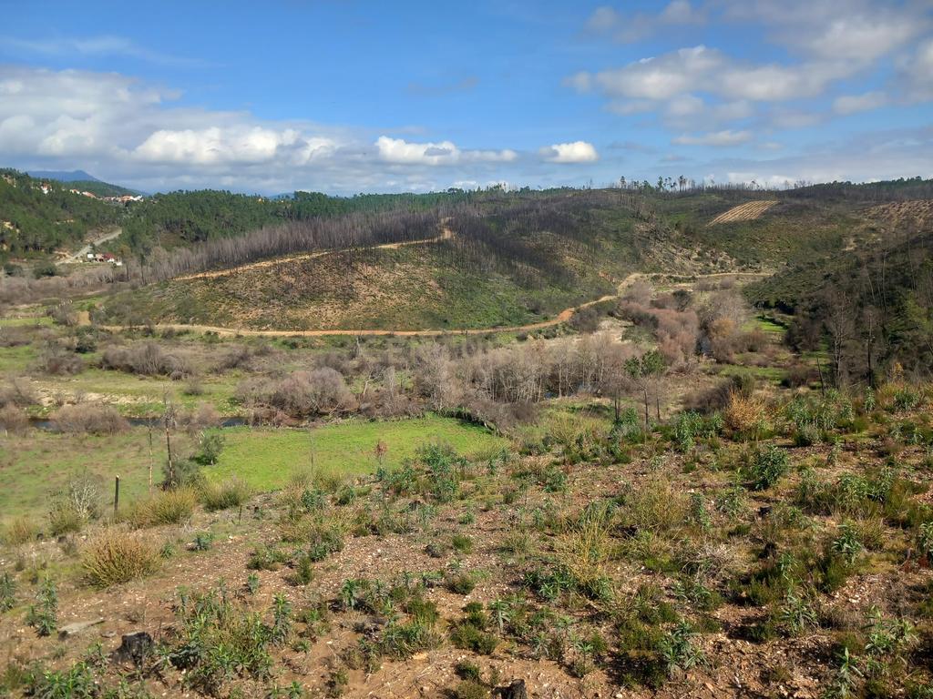 Terreno Rustico com 6220m2 Sobrainho da Ribeira-Sarzedas - Image 5