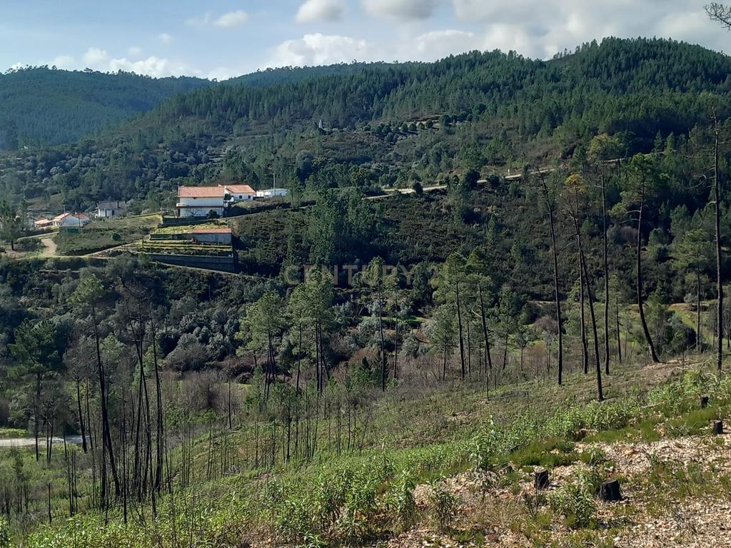 Terreno Rustico com 6220m2 Sobrainho da Ribeira-Sarzedas - Image 17