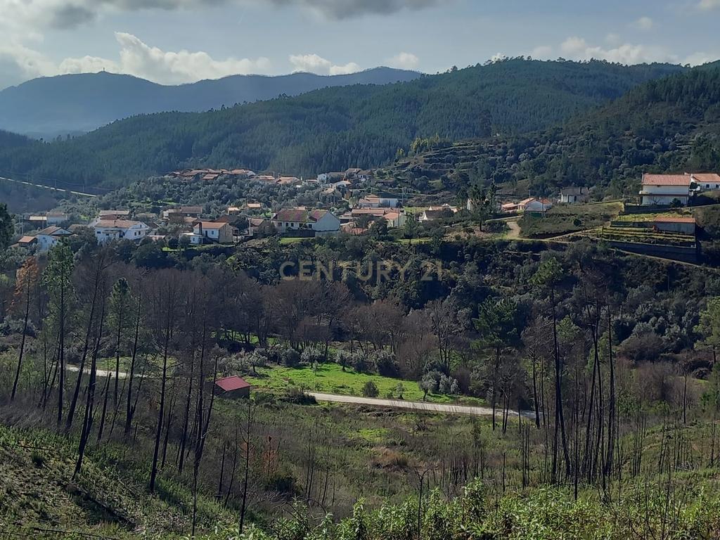 Terreno Rustico com 6220m2 Sobrainho da Ribeira-Sarzedas - Image 16