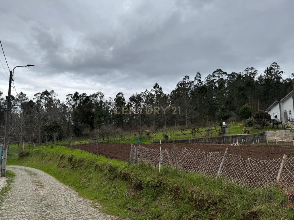 Terreno Rustico - Sandim - Image 2