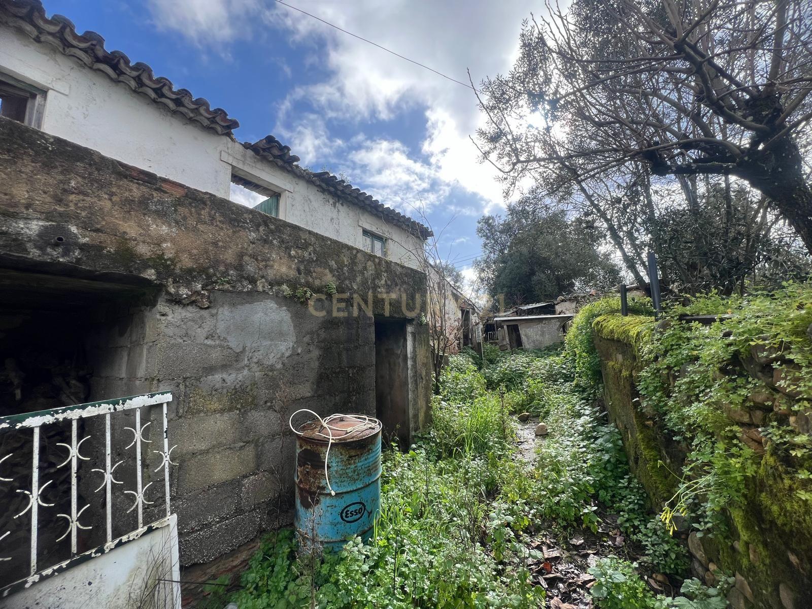 Casa para reconstrução total a 10 min da Praia Fluvial de Aldeia do Mato Abrantes - Image 4