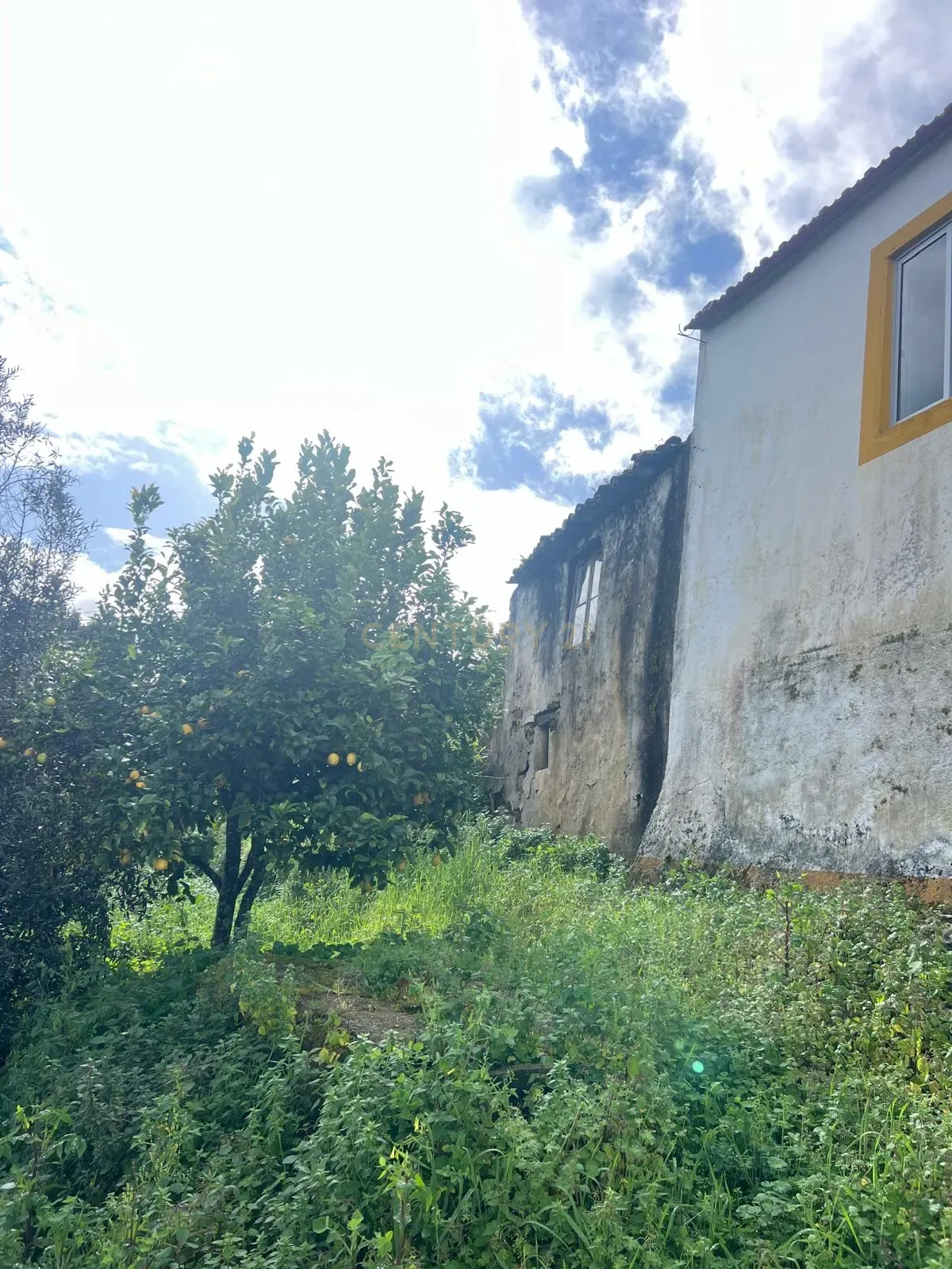 Casa para reconstrução total a 10 min da Praia Fluvial de Aldeia do Mato Abrantes - Image 22