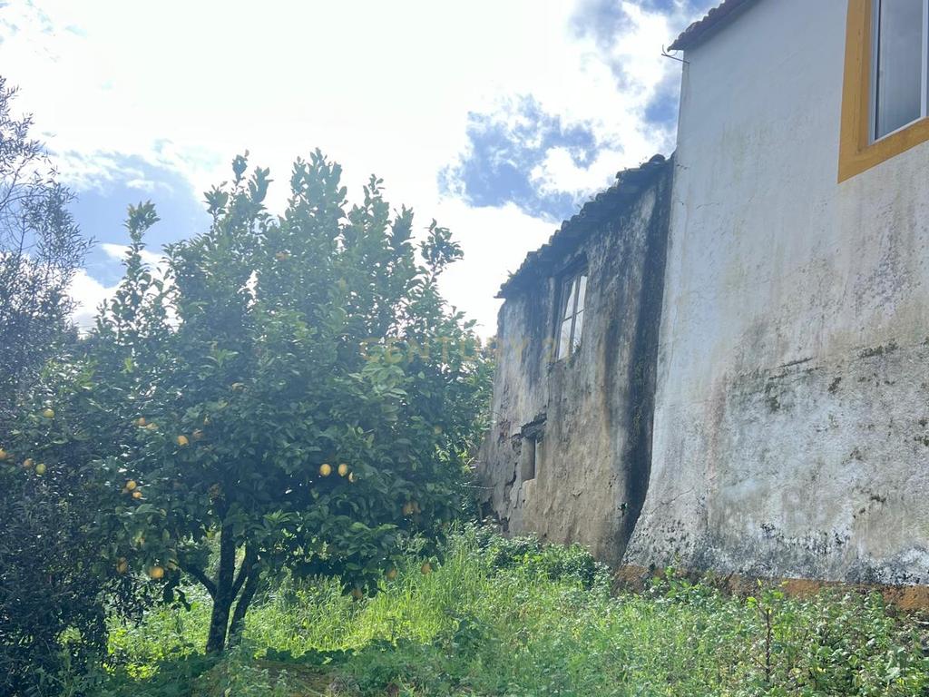 Casa para reconstrução total a 10 min da Praia Fluvial de Aldeia do Mato Abrantes - Image 22