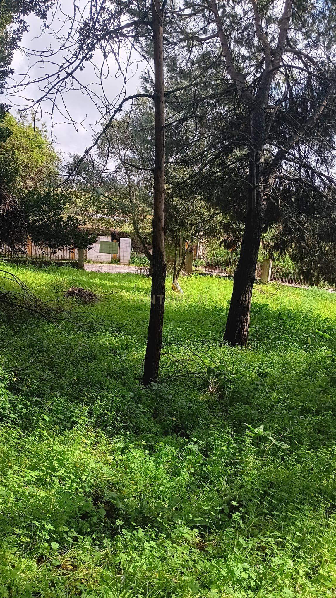 🏡 Terreno para Construção – 2.746 m² | Oportunidade Única Perto de Setúbal! 🌿 - Image 36